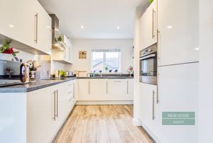 Photo 33- click for photo gallery